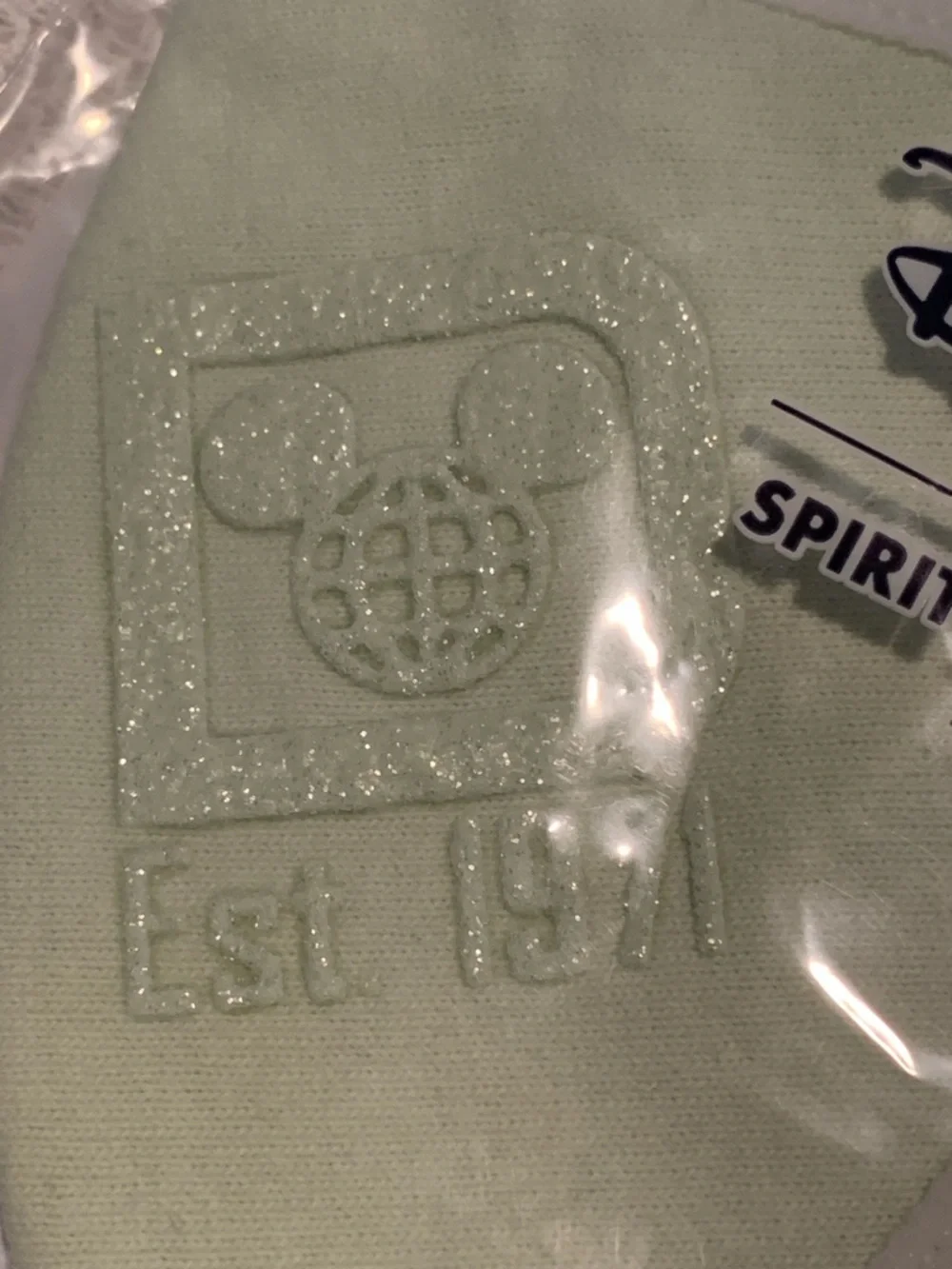 Disney Parks Spirit Jersey Mint Green Face Mask Medium NEW